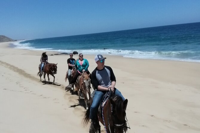 Horseback Riding - Customer Service Highlights