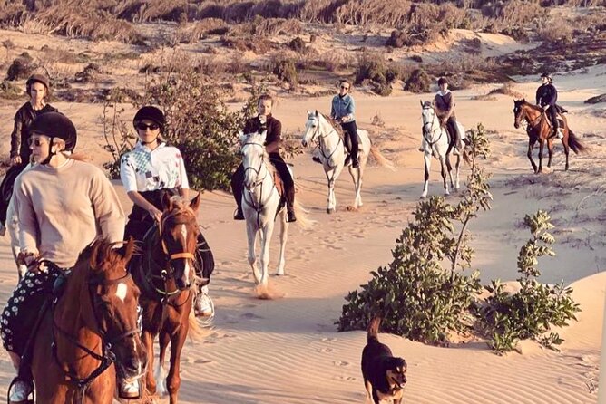 Horseback Riding Day + Picnic - Meeting Point