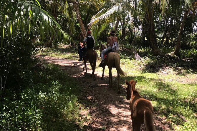 Horseback Riding - Experience Between Virgin Beach and Lagoon - Inclusions and Highlights