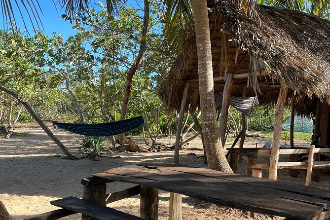 Horseback Riding - Experience Between Virgin Beach and Lagoon - Preparing for the Horseback Ride