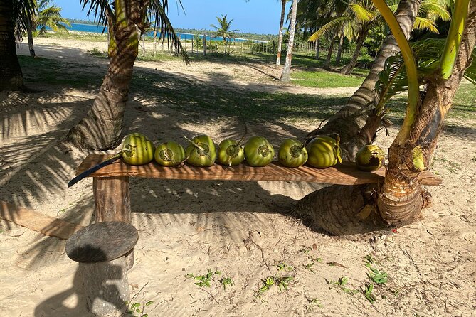 Horseback Riding - Experience Between Virgin Beach and Lagoon - Exploring the Virgin Beach and Lagoon