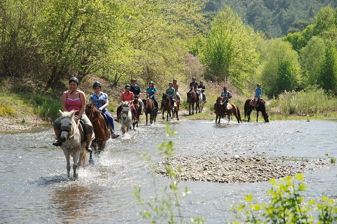 Horseback Riding Experience in Marmaris - Whats Included