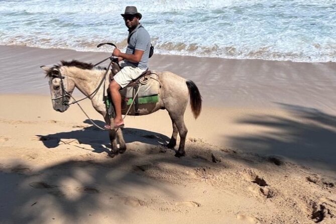 Horseback Riding Experience in Punta Cana - Amenities Provided