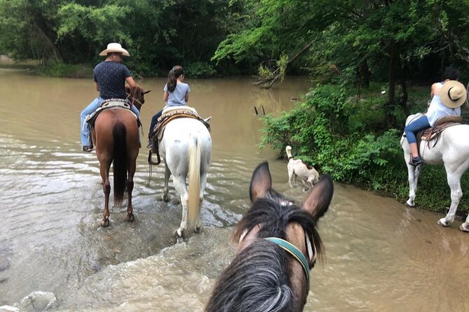 Horseback Riding Experience in Sierra Madre Mountains - Tour Schedule Options