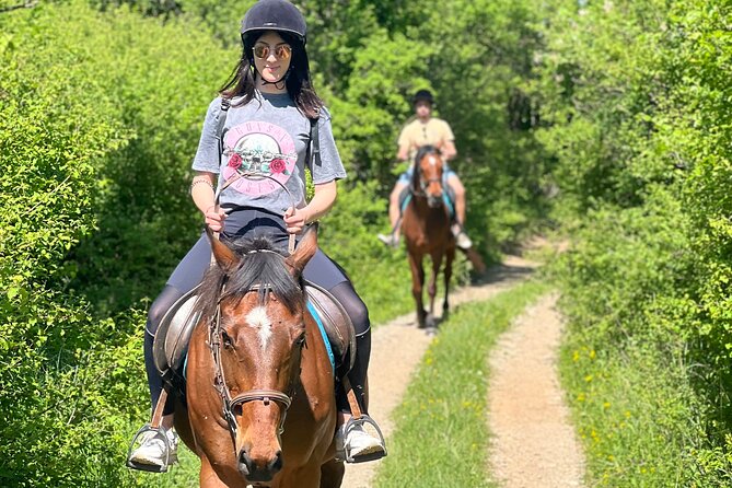 Horseback Riding Experience With Transport From Dubrovnik - Transportation and Meeting Details