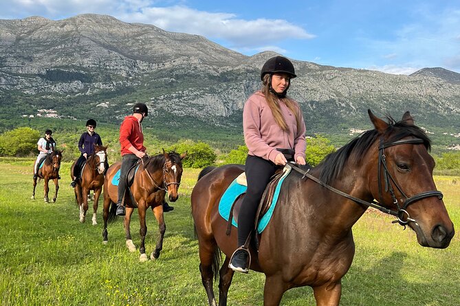 Horseback Riding Experience With Transport From Dubrovnik - Highlights of the Experience