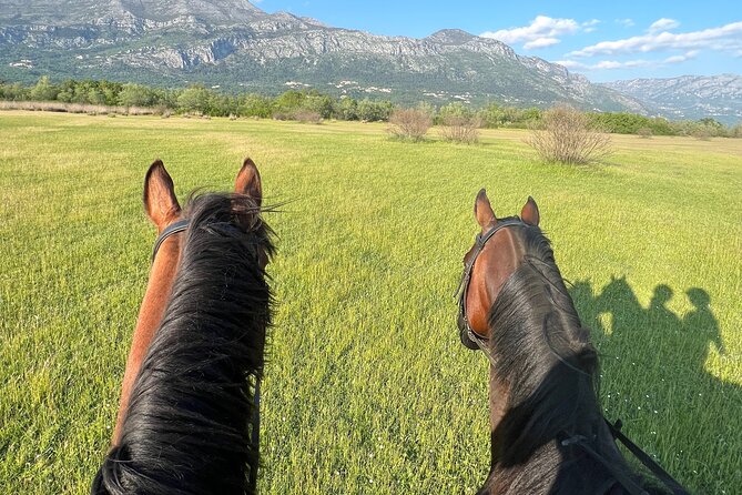 Horseback Riding Experience With Transport From Dubrovnik - Exploring the Countryside