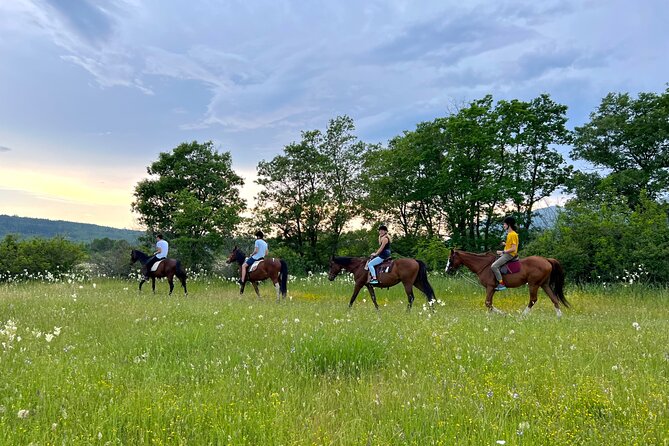 Horseback Riding Experience With Transport From Dubrovnik - Hospitality and Atmosphere