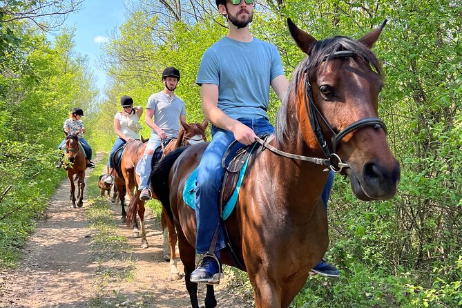 Horseback Riding Experience With Transport From Dubrovnik - Booking and Confirmation