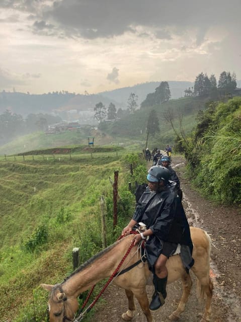 Horseback Riding: Explore Medellín's Nearby Countryside - Ideal Participants