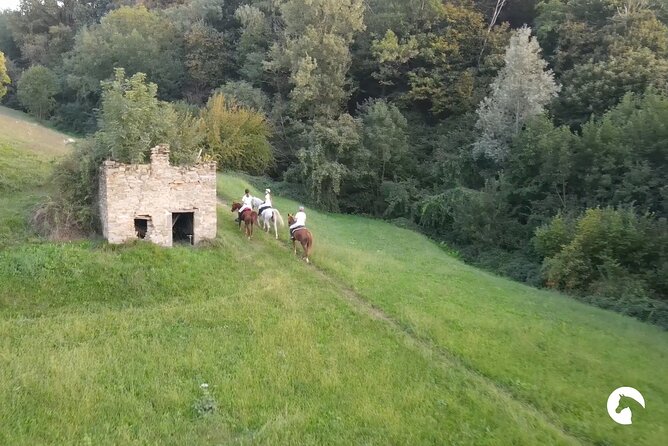Horseback Riding for Experts Between the Lake and the Mountains - Product Code