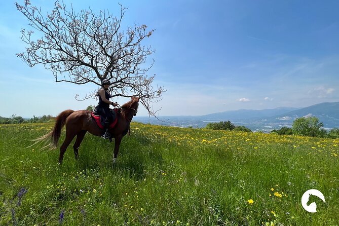 Horseback Riding for Experts Between the Lake and the Mountains - Review Highlights