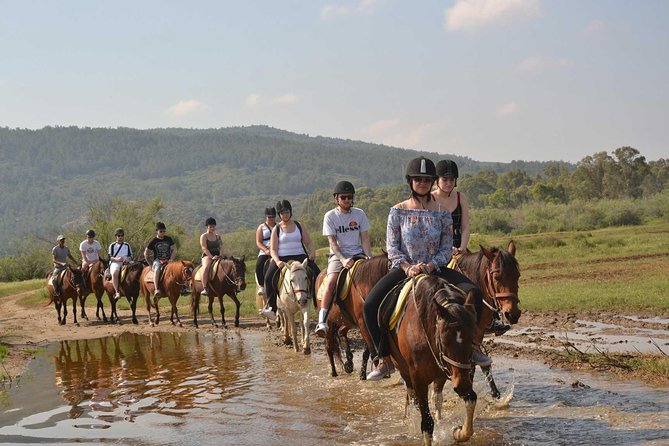 Horseback Riding From Kusadasi Port / Hotels - Accessibility