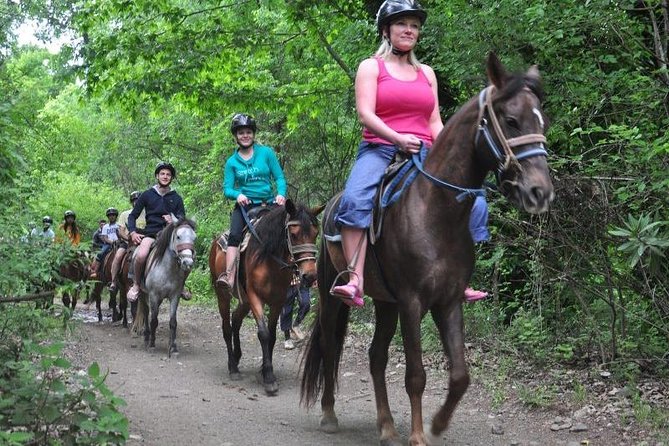 Horseback Riding From Kusadasi Port / Hotels - Transfer Fees