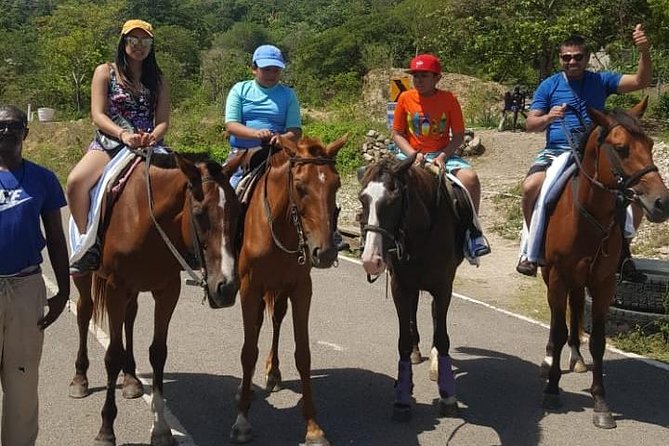 Horseback Riding From Montego Bay - Tour Overview