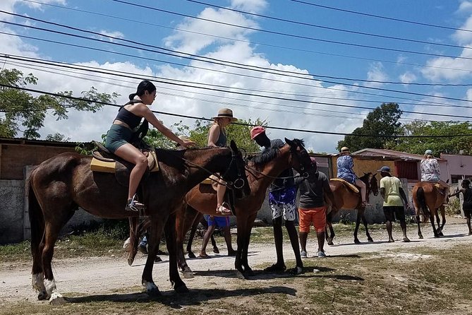 Horseback Riding From Montego Bay - Positive Feedback