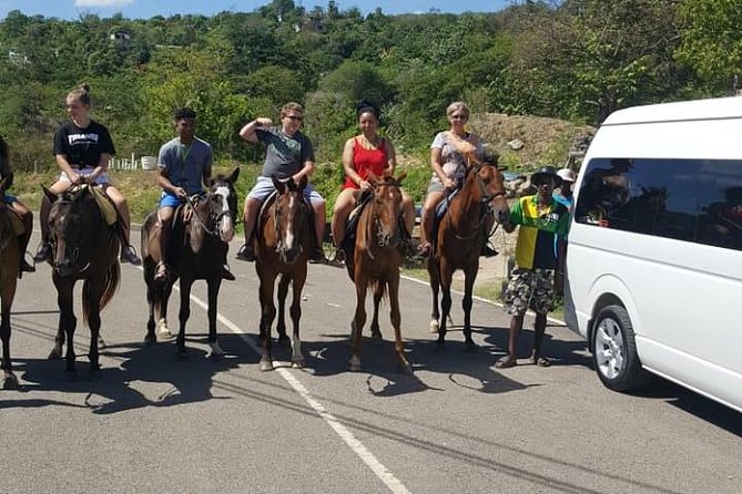 Horseback Riding From Montego Bay - Common Concerns