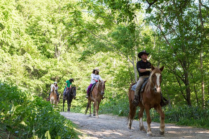 Horseback-Riding in a Country Side in Sapporo - Private Transfer Is Included - Included Features
