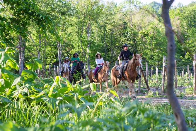 Horseback-Riding in a Country Side in Sapporo - Private Transfer Is Included - Activity Information
