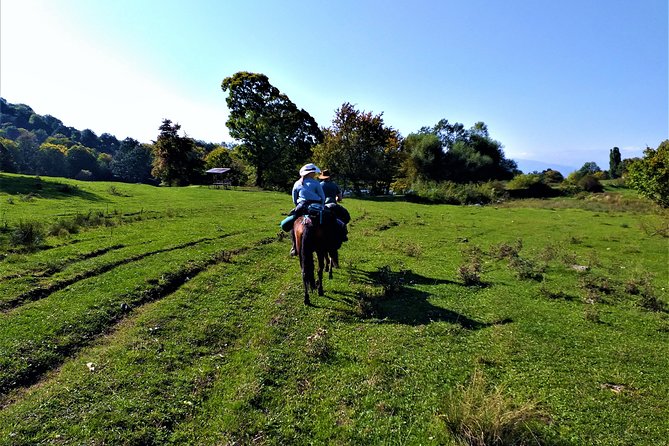 Horseback Riding in Armenia - Cancellation and Refund Policy