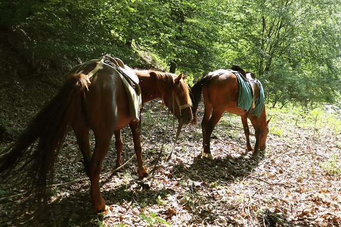 Horseback Riding in Azerbaijan - Taking in Azerbaijani Culture