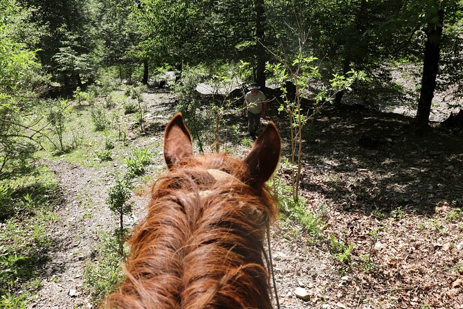 Horseback Riding in Azerbaijan - Gourmet Picnic in the Forest