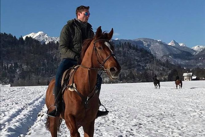 Horseback Riding In Bled - Round-trip Transport Provided