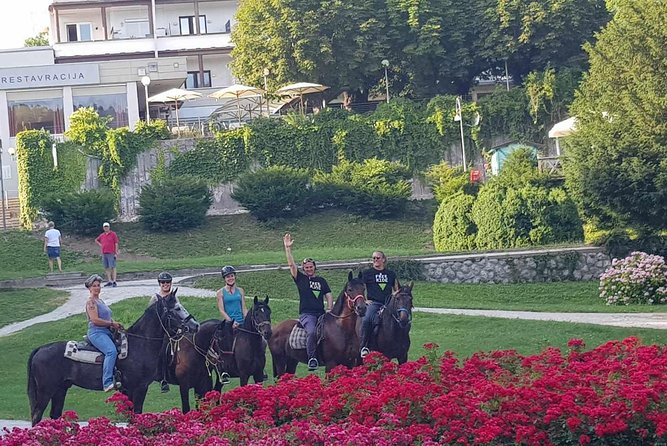 Horseback Riding In Bled - Accessibility and Animal Policy