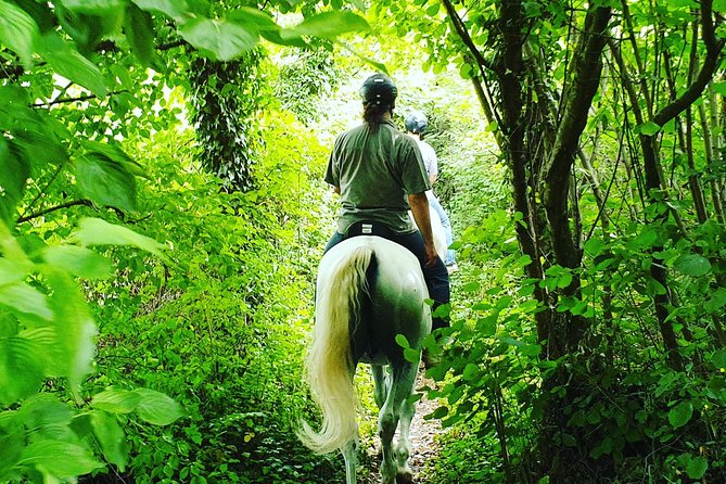 Horseback Riding In Bled - Pricing and Cancellation Policy