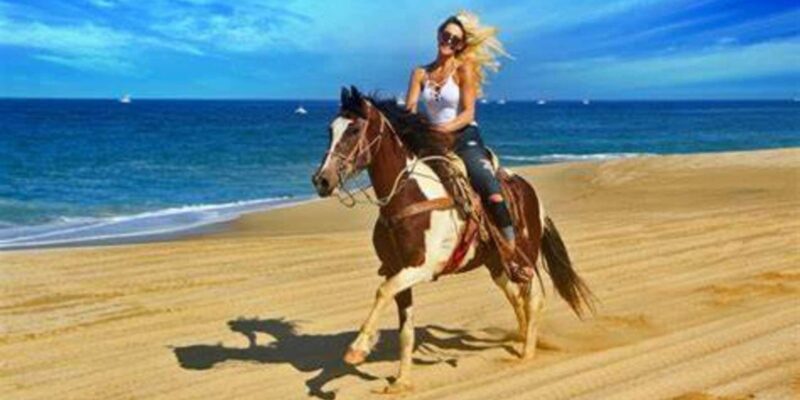 Horseback Riding in Boavista - Key Points