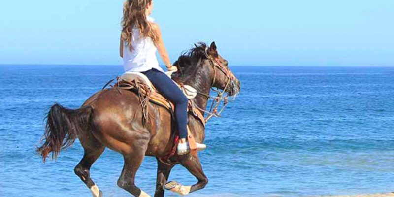 Horseback Riding in Boavista - Inclusions