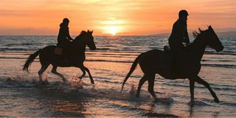 Horseback Riding in Boavista - Meeting Point