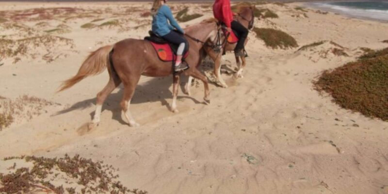 Horseback Riding in Boavista - Customer Feedback