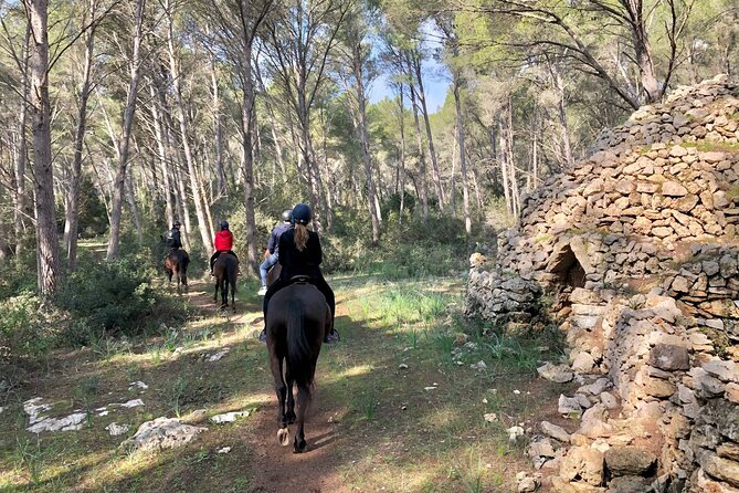 Horseback Riding in Cala Mitjana, Menorca, Spain - Pricing and Cancellation Policy