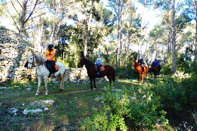 Horseback Riding in Cala Mitjana, Menorca, Spain - Horseback Riding Itinerary