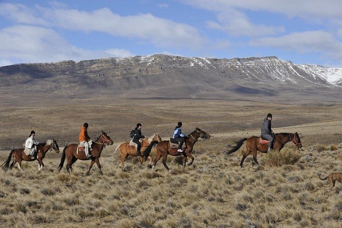 Horseback Riding in Calafate - Highlights and Recommendations
