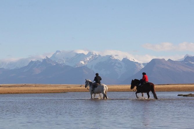 Horseback Riding in Calafate - Pricing and Duration