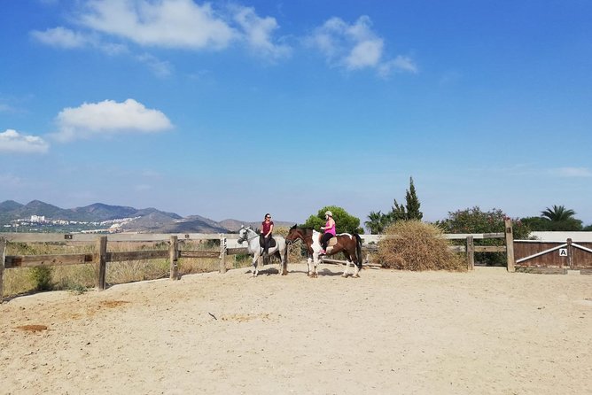 Horseback Riding in Cartagena (Spain) - Horse Selection and Safety