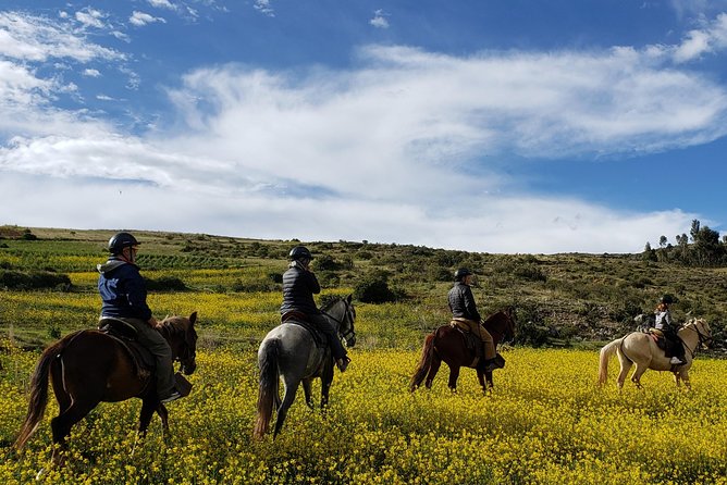Horseback Riding in Cusco to the Temple of the Moon - Comfortable and Reliable Riding Equipment