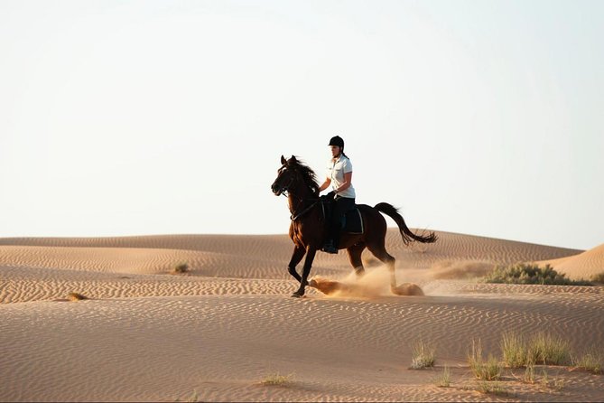 Horseback Riding in Dubai Desert With Transfers - Safety and Requirements