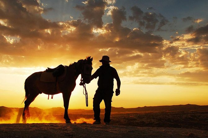 Horseback Riding in Dubai Desert With Transfers - Pickup and Timing Information
