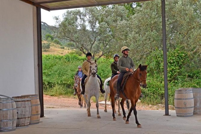 Horseback Riding In Lisbon - Arrábida - Louro Trail Mountain 5 - 6 Hours - Participant Requirements