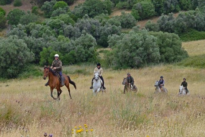 Horseback Riding In Lisbon - Arrábida - Louro Trail Mountain 5 - 6 Hours - Reviews and Experiences