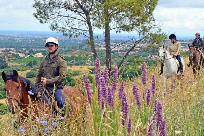 Horseback Riding In Lisbon - Arrábida - Louro Trail Mountain 5 - 6 Hours - Pricing and Cancellation Policy