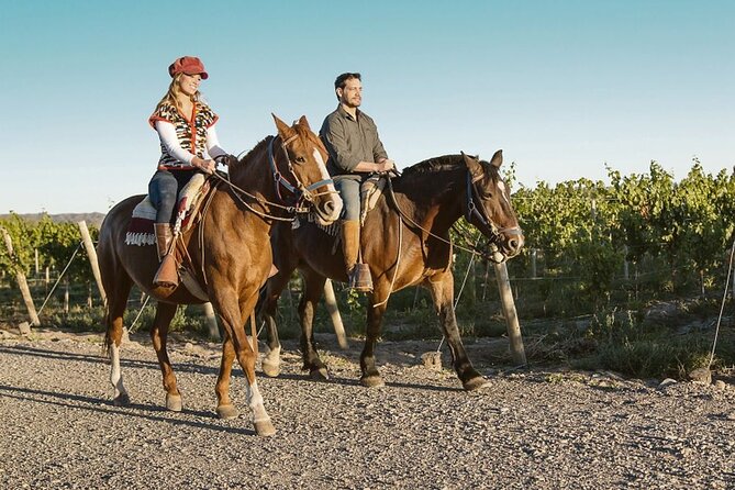 Horseback Riding in Mendoza Through the Vineyards and River With Optional Asado. - Inclusions and Important Information