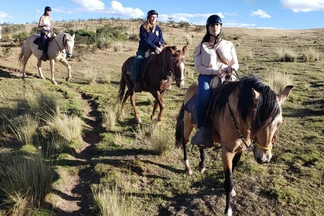 Horseback Riding in Miradores Del Valle Del Cusco, Peru - Safety Measures