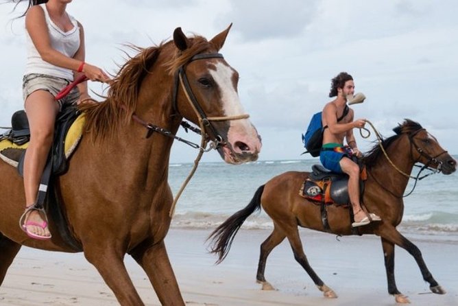 Horseback Riding in Punta Cana - About Your Stay