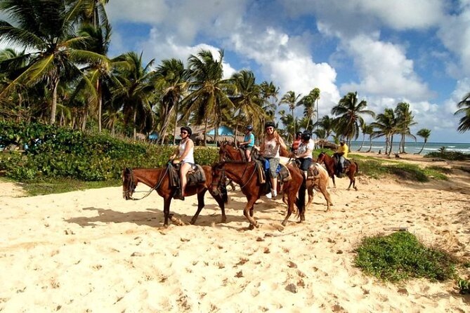 Horseback Riding in Punta Cana - Important Safety Considerations for Riding