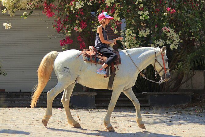 Horseback Riding in Sayulita - An In-Depth Look at the Horseback Riding Experience in Sayulita