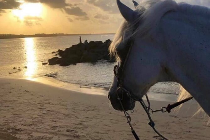 Horseback Riding in Sayulita Through Jungle Trails to the Beach - Additional Activities